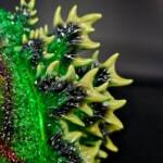 3D4K HiReD #19 Colourway Green Flame - Image 8