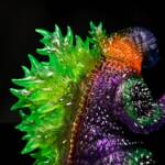 3D4K HiReD #25 Colourway Super Nova Black Hole - Image 8