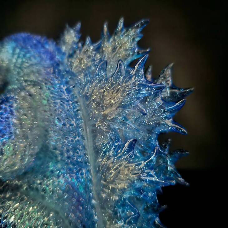 3D4K HiReD #32 Colourway Frozen Glitter - Image 8