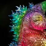 3D4K HiReD #38 Colourway Iridescence - Image 9