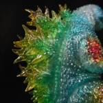 3D4K HiReD #53 Colourway Rudolph Glitter - Image 9