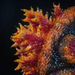 3D4K HiReD Giant #12 Colourway Cinder Glitter - Image 8