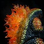 3D4K HiReD Giant #5 Colourway Flame Emperor - Image 9