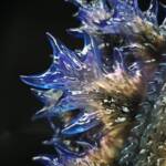 3D4K HiReD Howling Giant #7 Colourway Aberration - Image 8