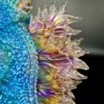 D24 Final Flame Fade - Image 9