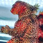 Fat Boy D24 Flameback Magma - Image 5