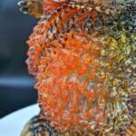 Fat Boy D24 Flameback Magma - Image 10