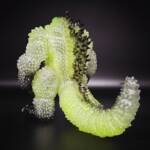 Kingod #21 Colourway Radioactive - Image 3