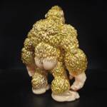 Kongrilla #18 Colourway Wukong - Image 5
