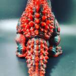 Resurrex #1 Colourway Rot - Image 8