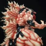 Venolah #7 Colourway Attack Titan - Image 10