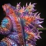 3D4K HiReD Howling Giant #17 Colourway: Violet Nebula Glitter - Image 9