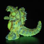 D24 Flameback Sunspot Super Glow! product image