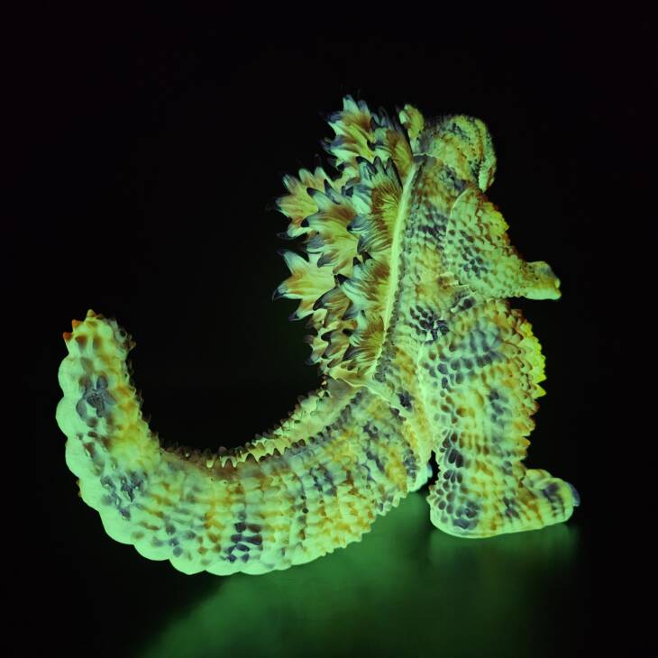 D24 Flameback Sunspot Super Glow! product image