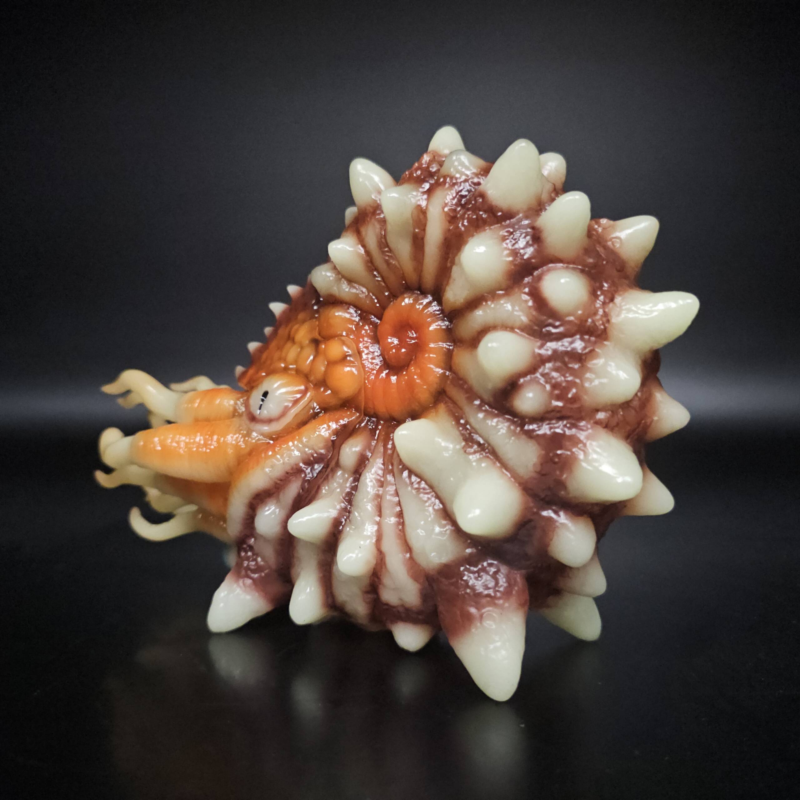 NautiLahs #01 Colourway: Pompilius Super Glow! product image