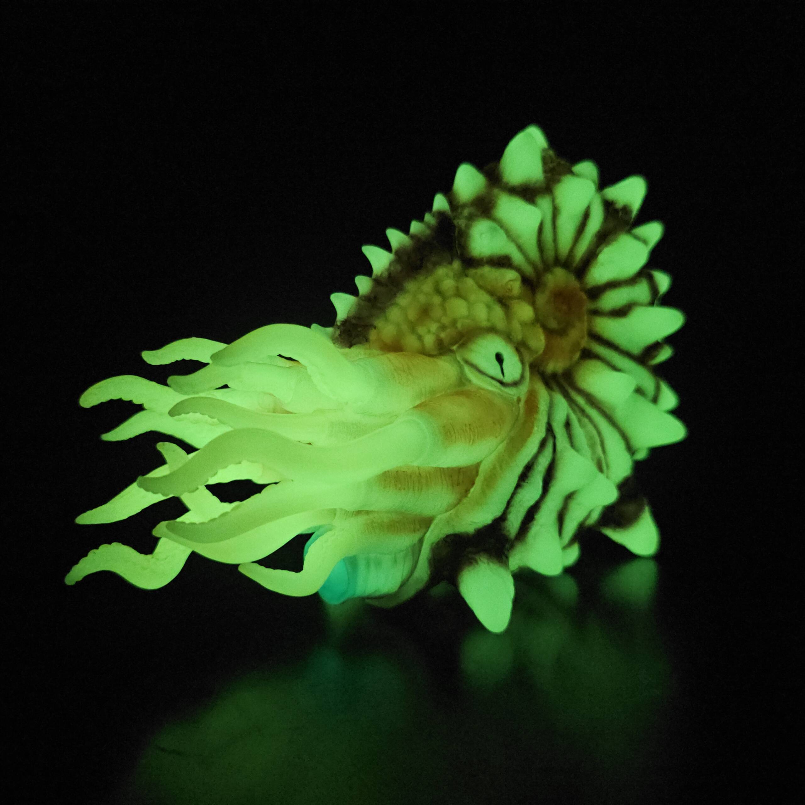 NautiLahs #01 Colourway: Pompilius Super Glow! product image