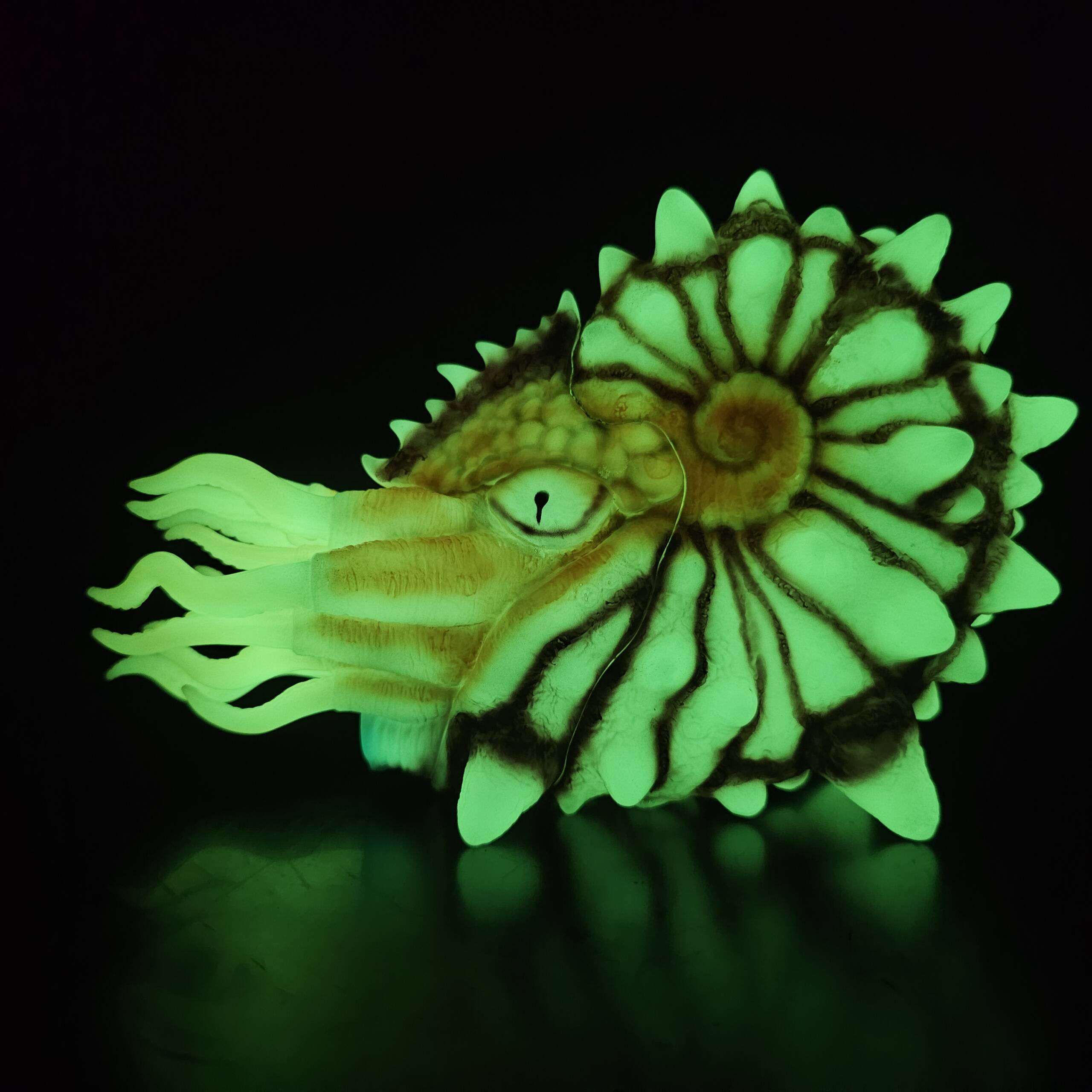 NautiLahs #01 Colourway: Pompilius Super Glow! product image