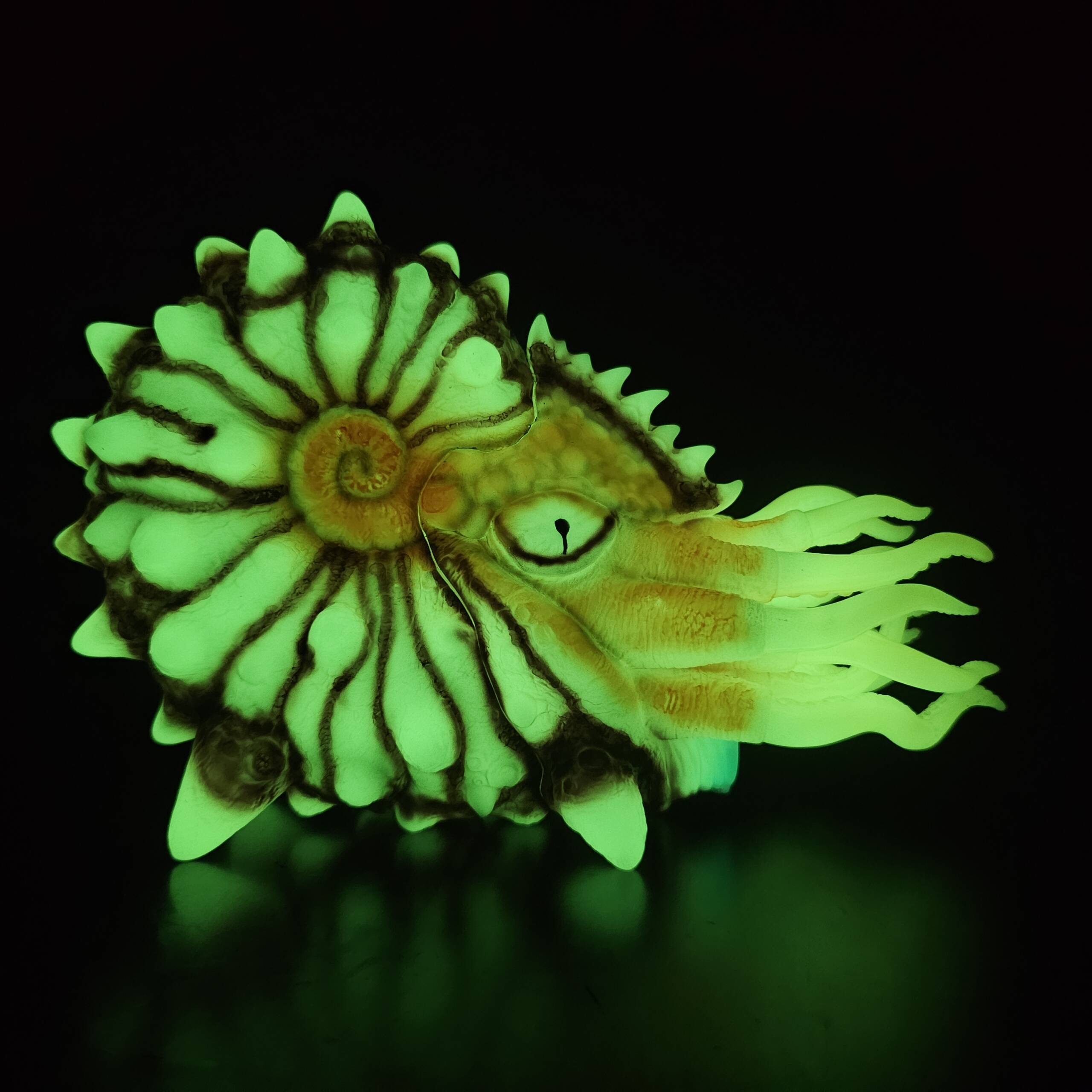 NautiLahs #01 Colourway: Pompilius Super Glow! product image