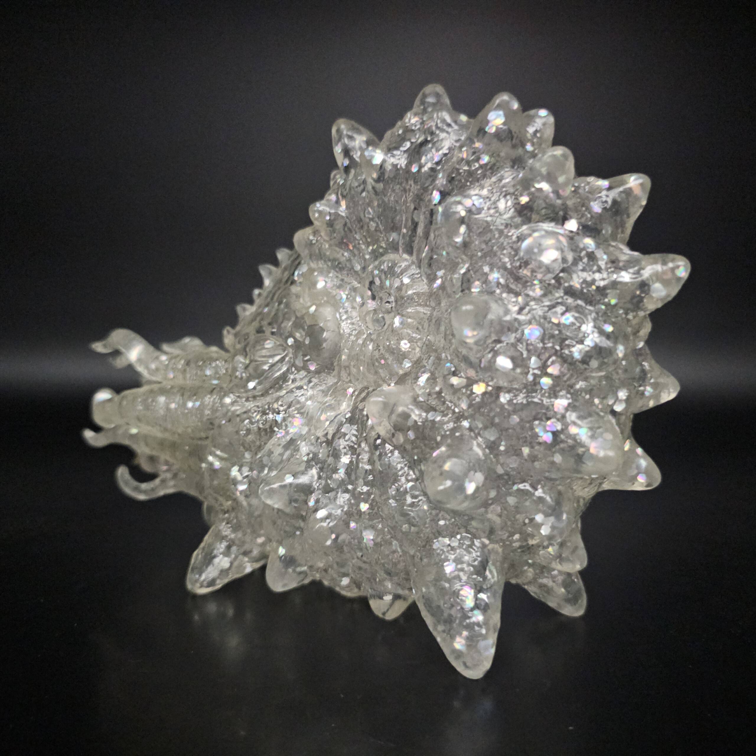 NautiLahs Diamond Glitter Blank! product image