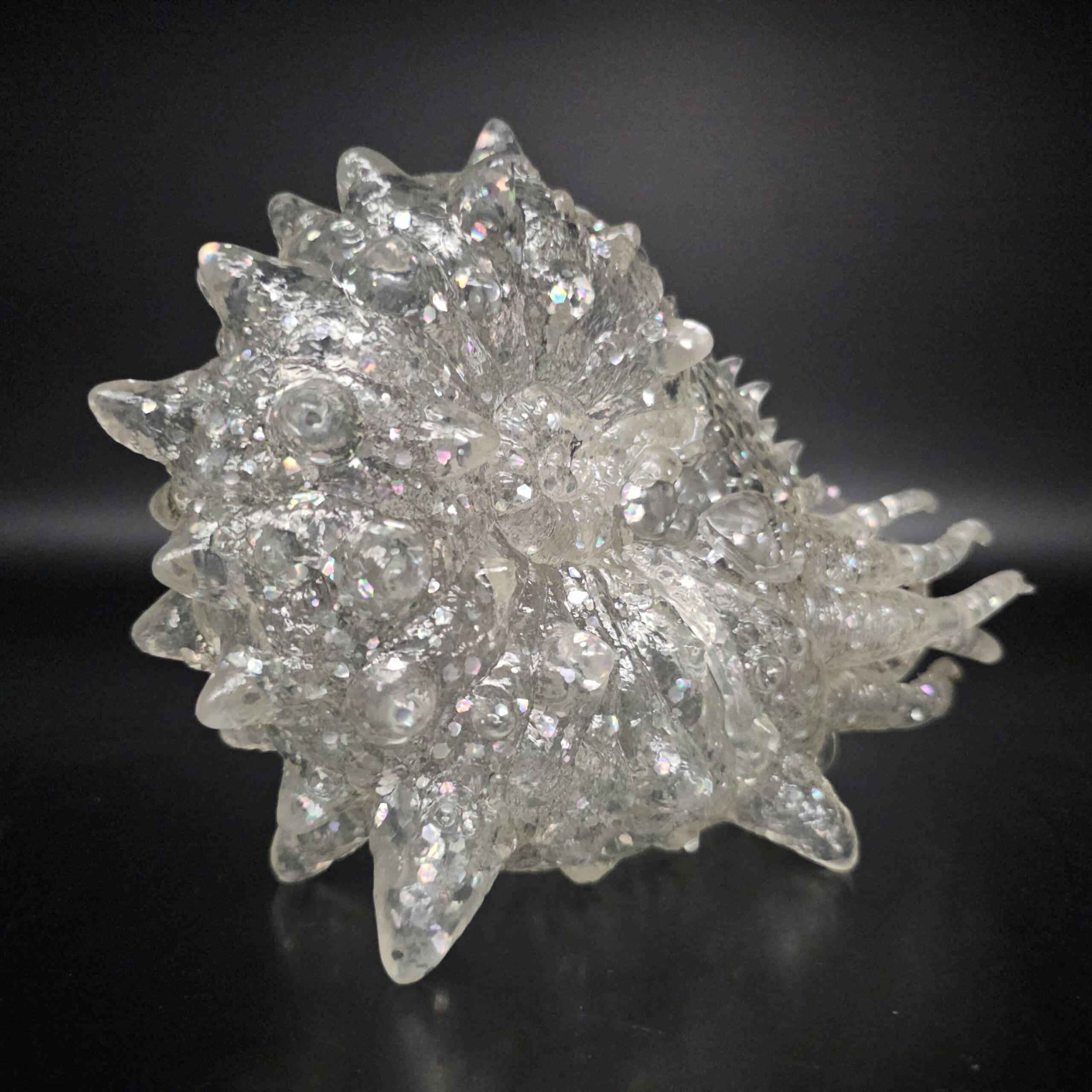 NautiLahs Diamond Glitter Blank! product image