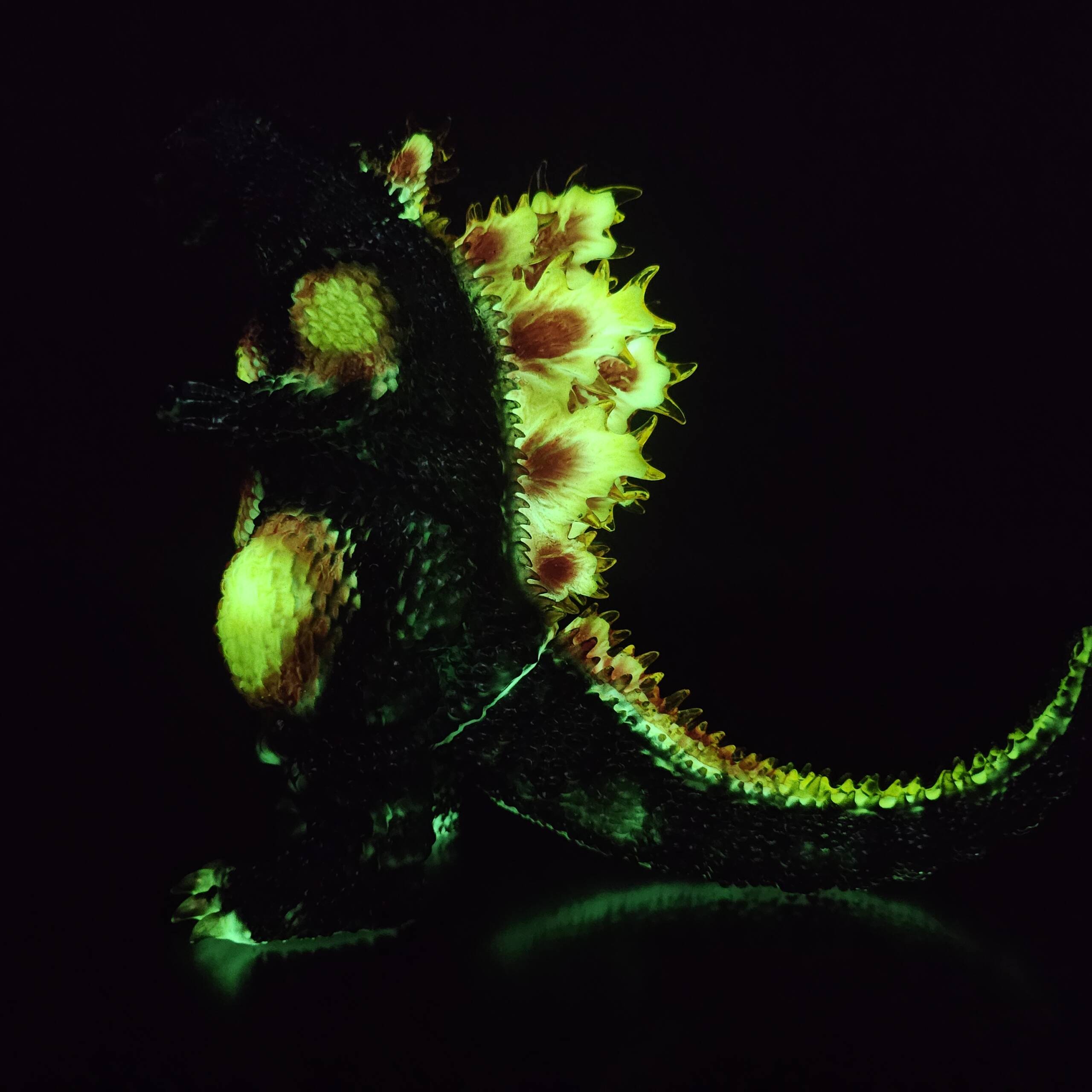 3D4K HiReD #83 Colourway: Retrofusion Super Glow! - Image 9