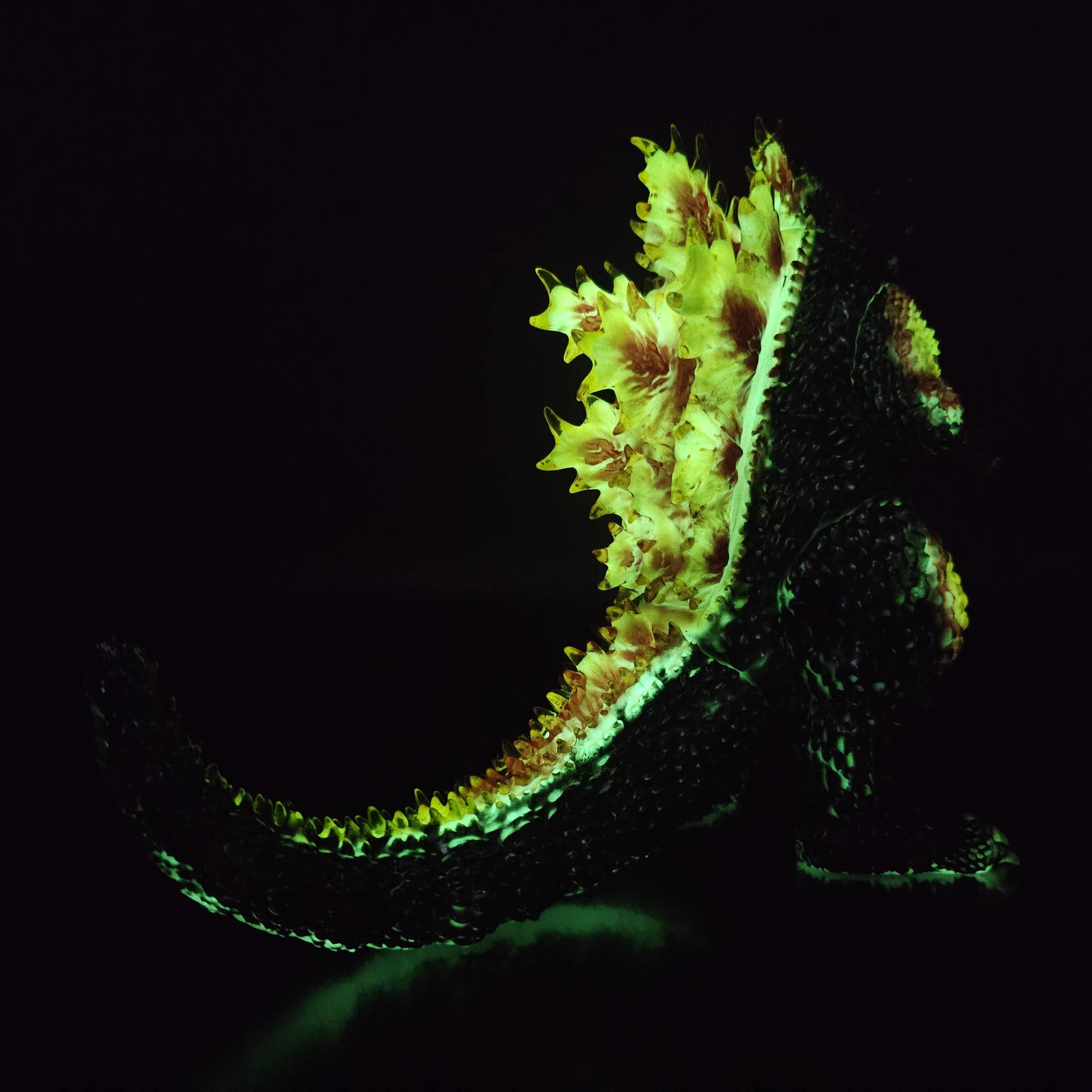 3D4K HiReD #83 Colourway: Retrofusion Super Glow! - Image 10